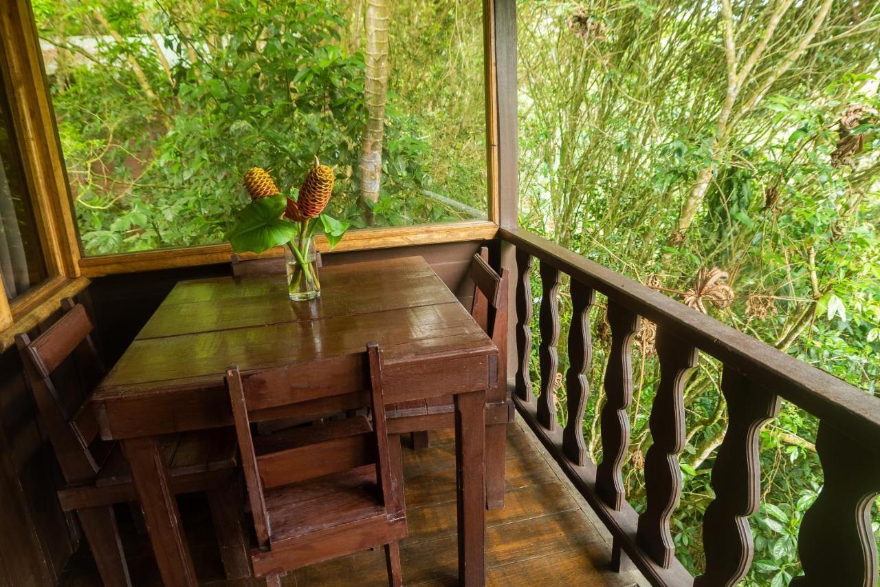 Cabanas El Bosque Турриальба Экстерьер фото