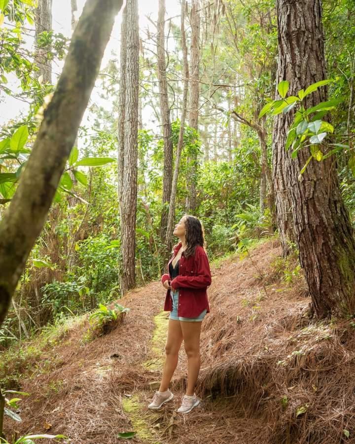 Cabanas El Bosque Турриальба Экстерьер фото