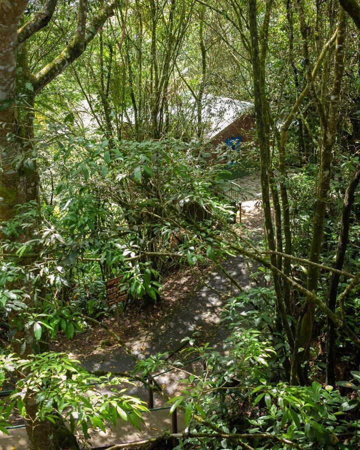 Cabanas El Bosque Турриальба Экстерьер фото