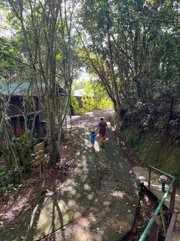 Cabanas El Bosque Турриальба Экстерьер фото